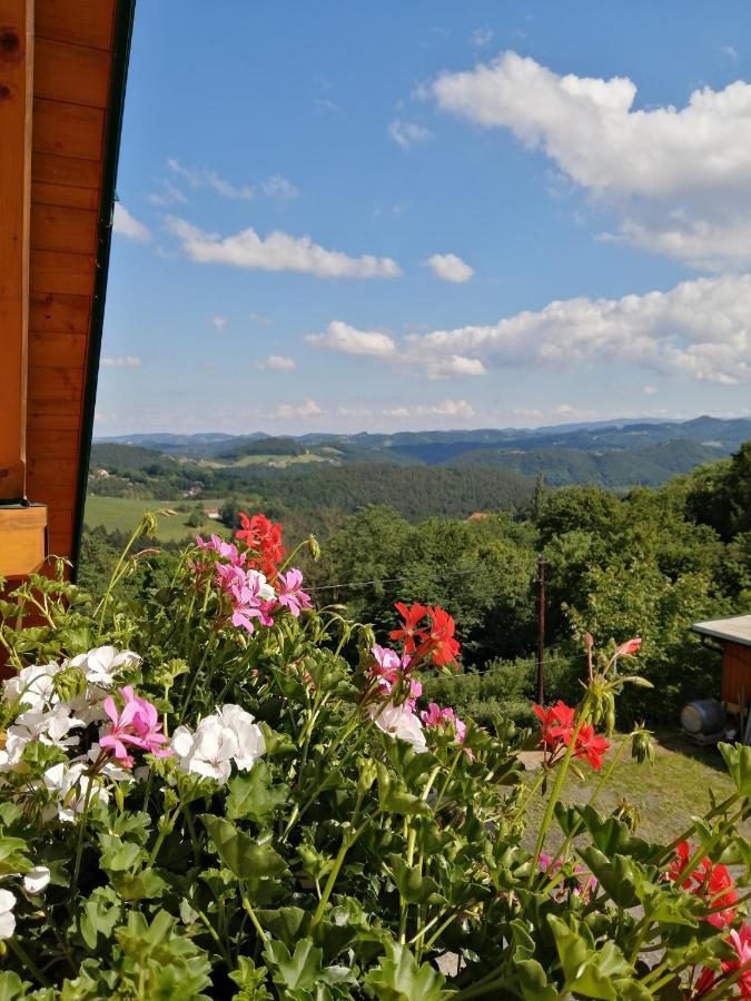 Ferienwohnung Stoff Kitzeck im Sausal Kültér fotó
